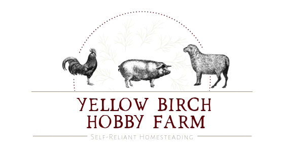 Yellow Birch Hobby Farm
